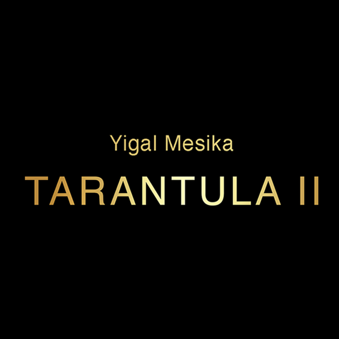 Tarantula 2 por Yigal Mesika - El arte de desafiar la gravedad