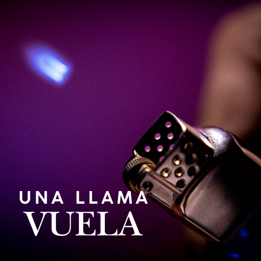 Llama que Vuela – El Poder del Fuego en Tus Manos